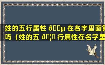 姓的五行属性 🐵 在名字里面算吗（姓的五 🦆 行属性在名字里面算吗怎么算）